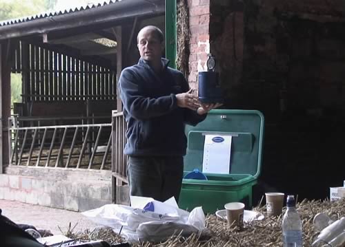 Setting off to see the cattle
